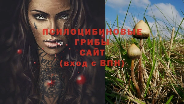 прущий лед Лабытнанги