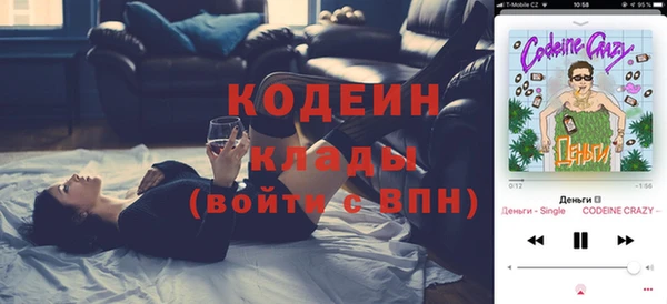 тгк Ладушкин