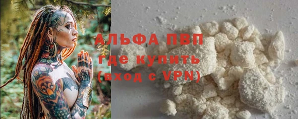 тгк Ладушкин