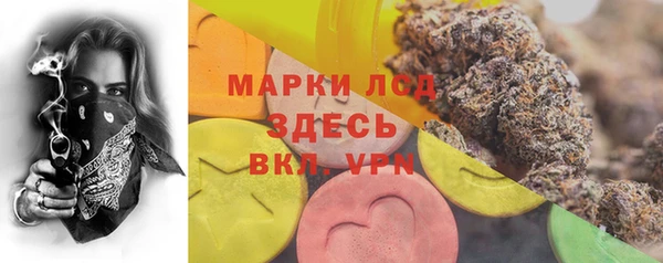 сатива Лагань