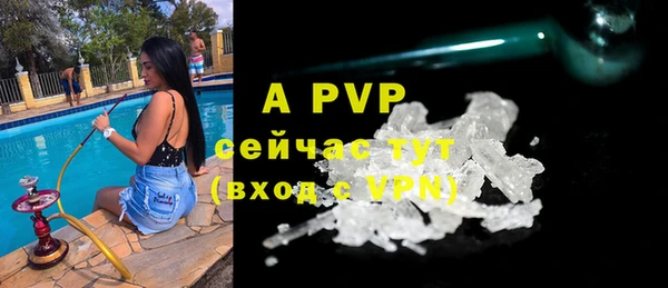 тгк Ладушкин